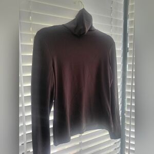 Express Brown Turtleneck Shirt